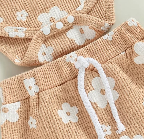 Daisy Set